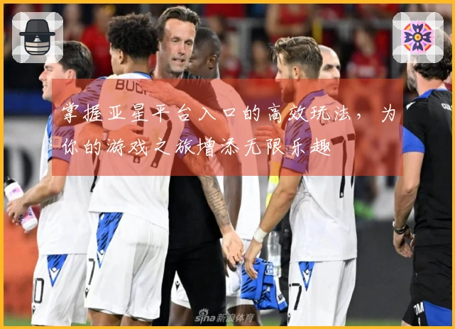 掌握亚星平台入口的高效玩法，为你的游戏之旅增添无限乐趣